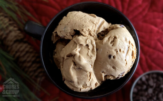 Triple Shot Espresso Chip Ice Cream