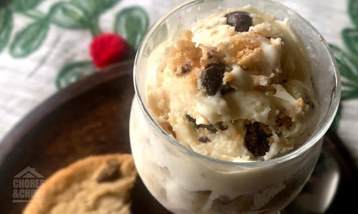 Chocolate Chip Cookie Ice Cream